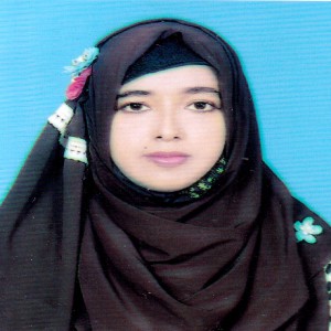 Sholla School College Teacher